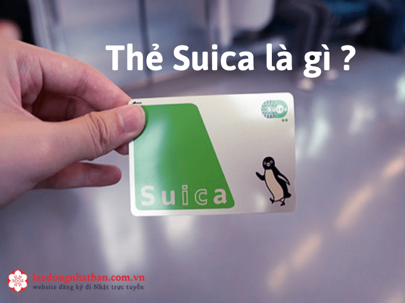 Hướng dẫn cách làm và sử dụng thẻ Suica tại Nhật Bản